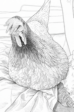Load image into Gallery viewer, iSpy Boutique presents Jette’s Farm Coloring Book
